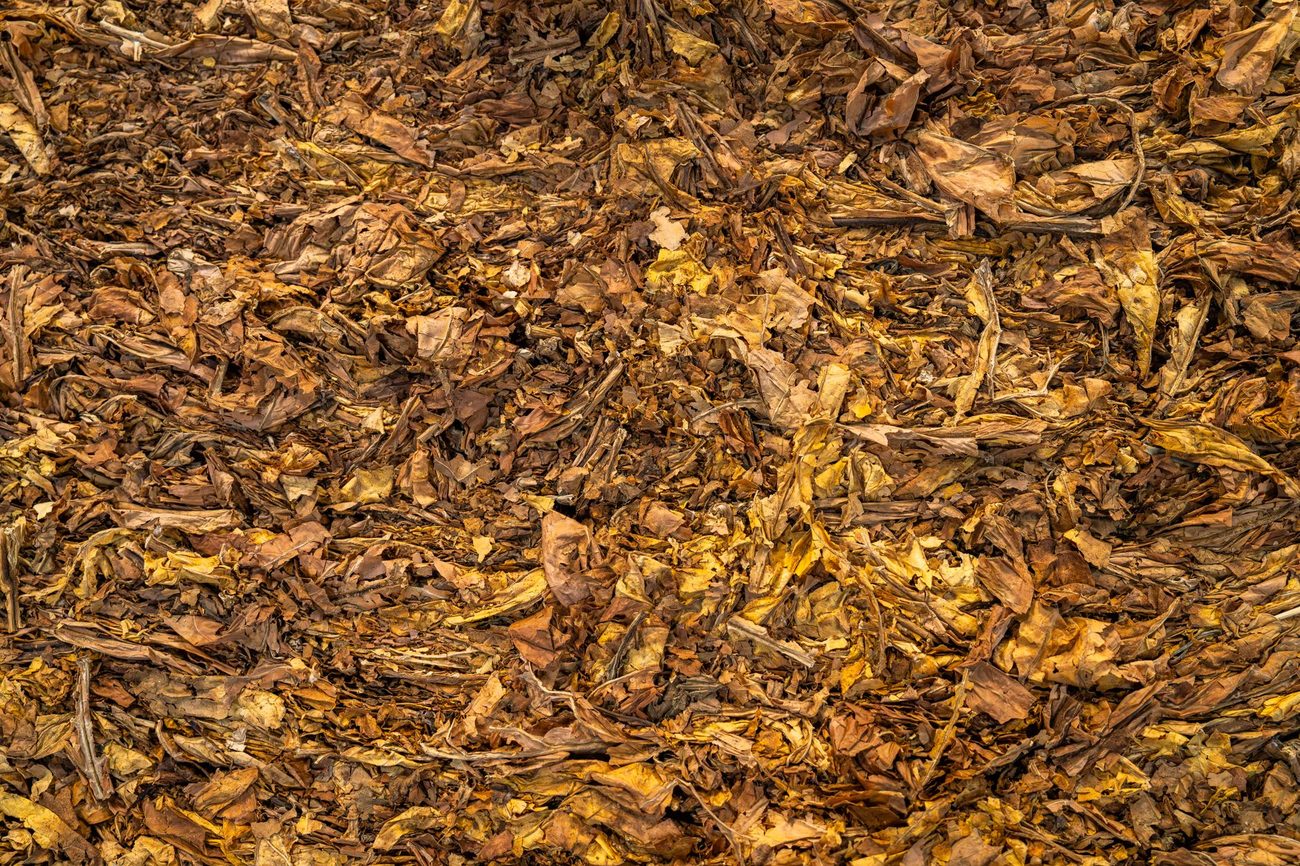 Backyard Composting Without the Smell